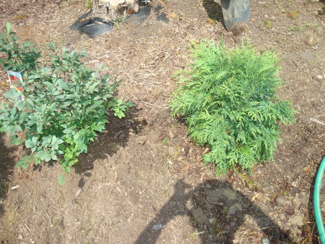 Two down, one to go!