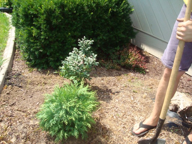 Looking good so far!