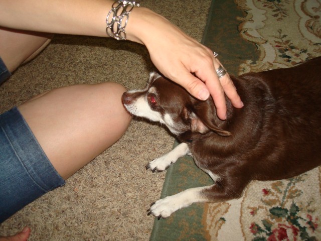 Anne's dog only bit Isaiah twice :P