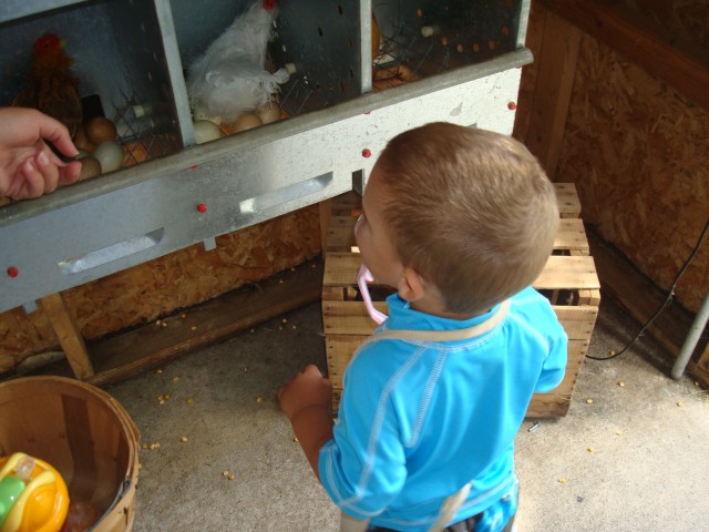 Find an egg, Isaiah!