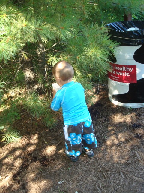 Isaiah wated the tree with the well water!