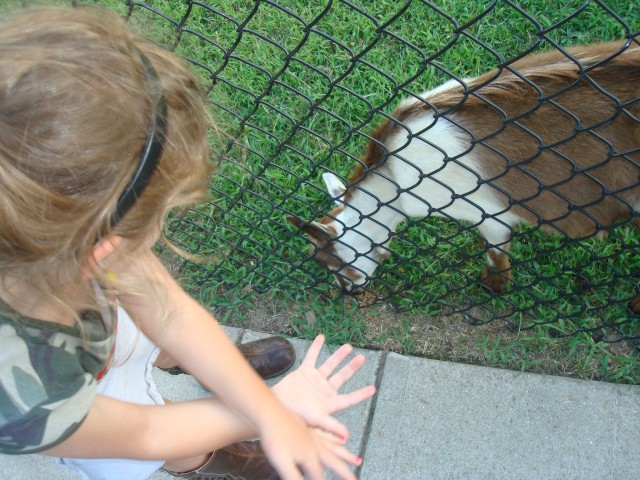 Abby feed the rest of her pellets to this hungry dude.  She's such a good girl :)