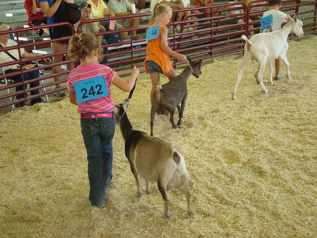 Swing yer partner round-n-round!