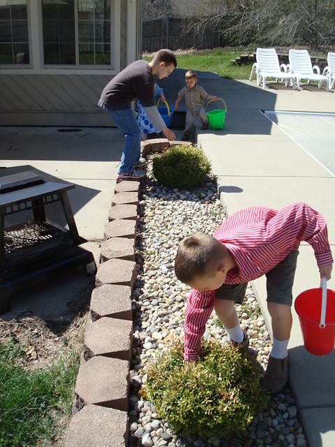 There's one in the bush!