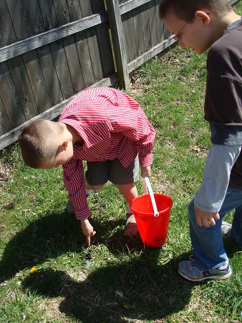 Um, is that dog poo??