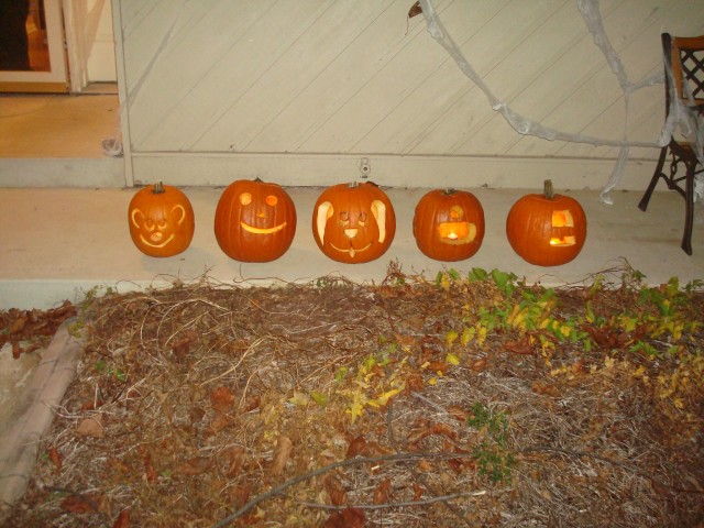 Pumpkins!
