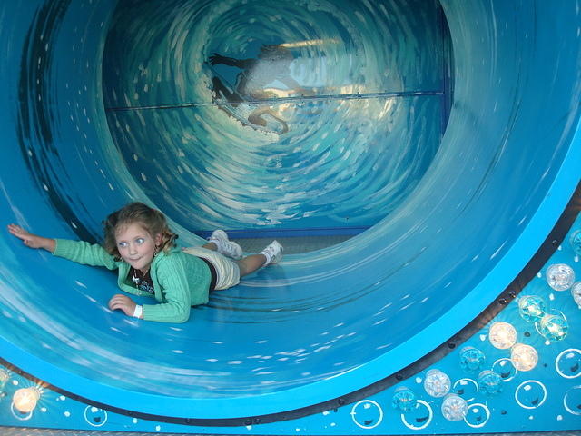 Every dirty little k-town kid tromped their shut stompers through it....