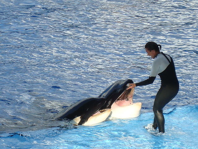 Watch out!  It's going to eat you!