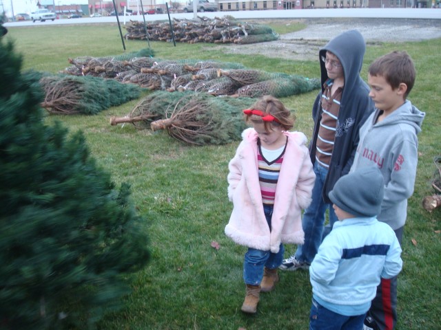They're thrilled to be tree shopping if you can't tell!  Ha