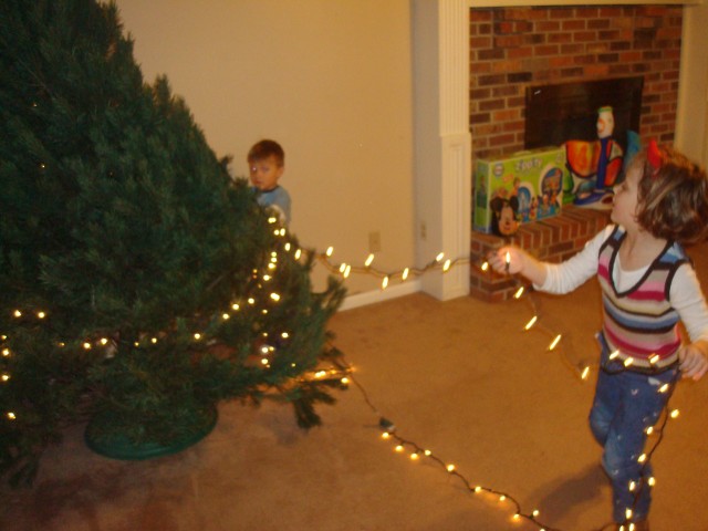 If only we could hold them still and turn the tree!