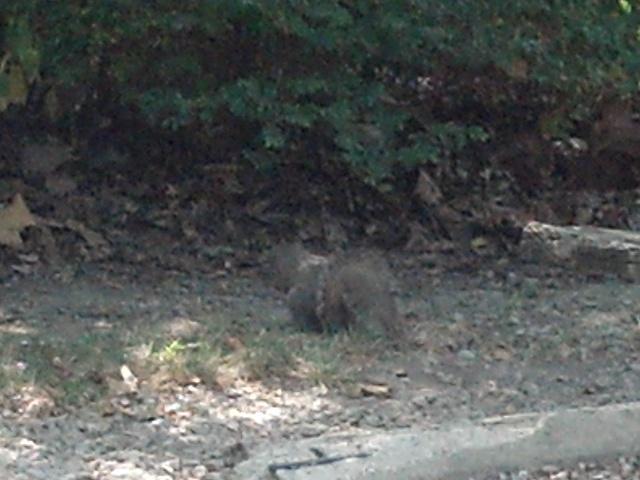 2012-07-11 18-18-53 425