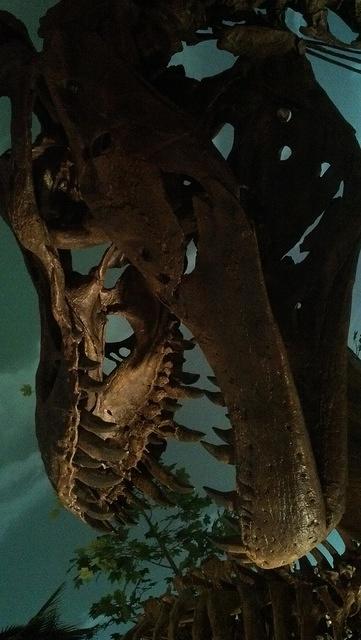 2013-01-05 16-14-46 643