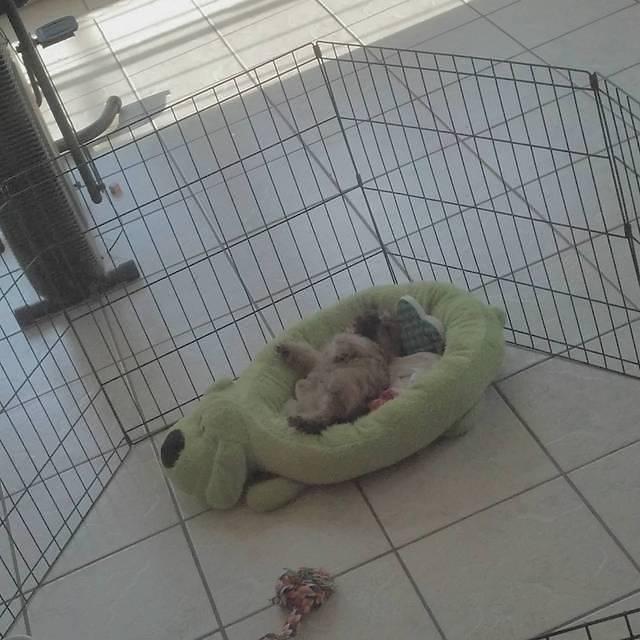 2012-04-22 19-01-54 8-1