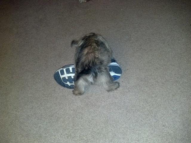 2012-04-22 22-10-36 523