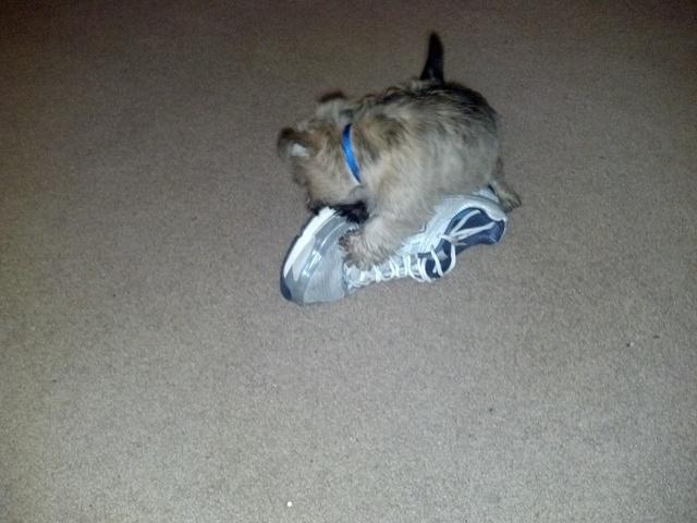 2012-04-22 22-11-44 928