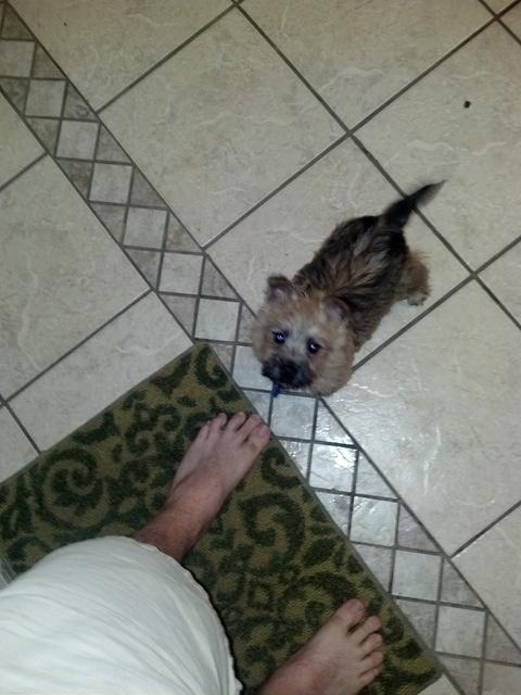 2012-05-01 22-17-12 178