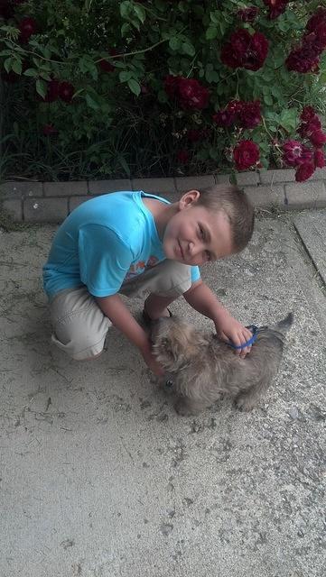 2012-05-12 16-04-18 513