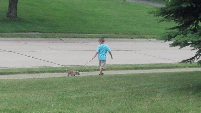 2012-05-12 16-05-03 652