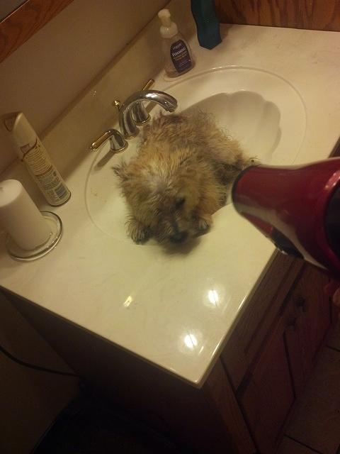 2012-08-16 20-31-51 150