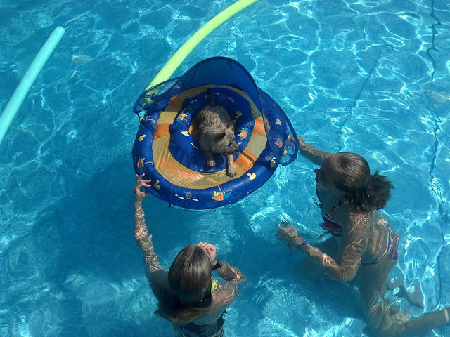 2012-05-27 16-25-28 928