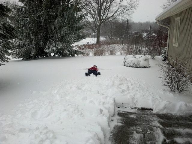 2012-12-26 13-02-30 499