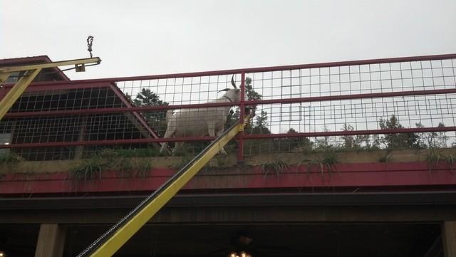 IMG 20131016 110106 549