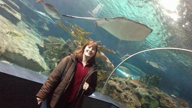 2013-01-26 15-00-28 497