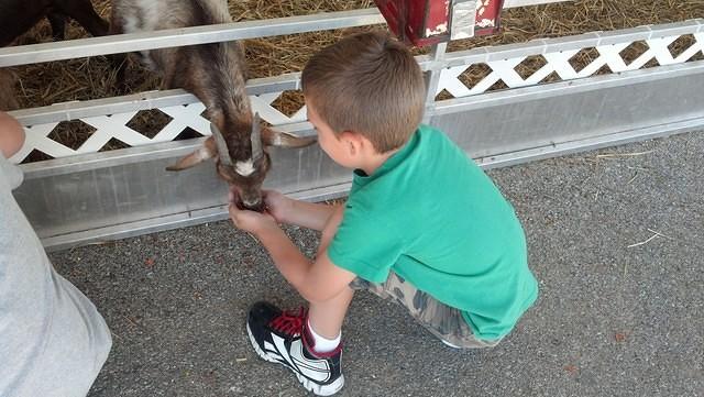 IMG 20130804 121024 388