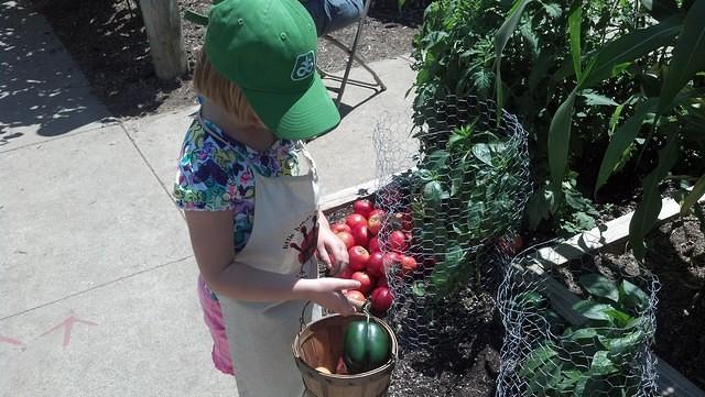 IMG 20130804 132003 188