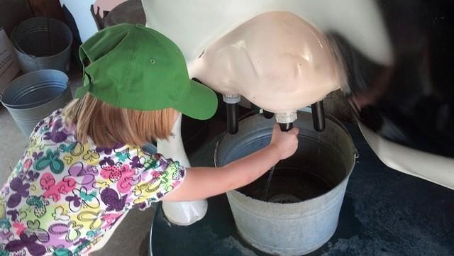 IMG 20130804 132513 957