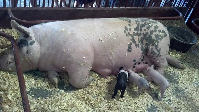 IMG 20130804 135138 304