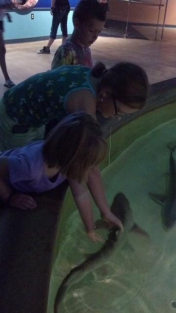 IMG 20130721 091503 286