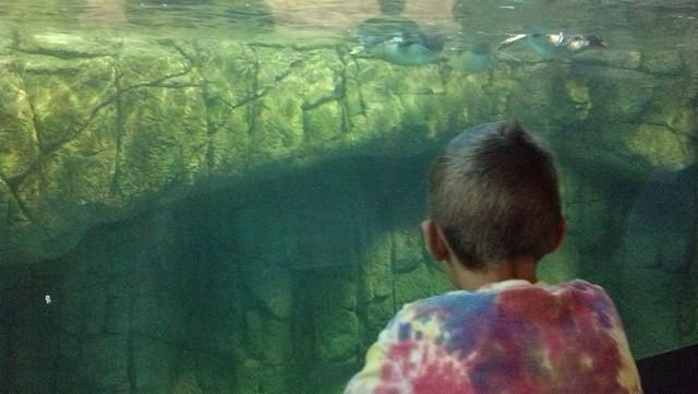 IMG 20130721 092203 013