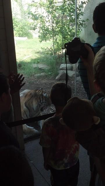 IMG 20130721 100148 363