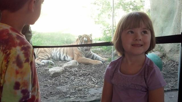 IMG 20130721 100339 112