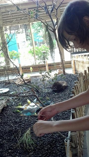 IMG 20130721 103051 455