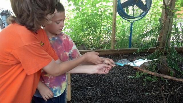 IMG 20130721 103127 698