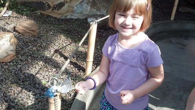 IMG 20130721 103302 947