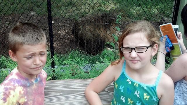 IMG 20130721 112301 197