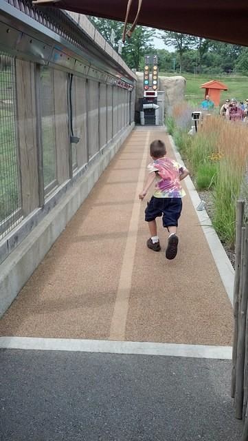 IMG 20130721 112830 795