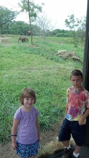 IMG 20130721 113106 545