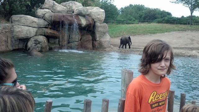 IMG 20130721 113416 339