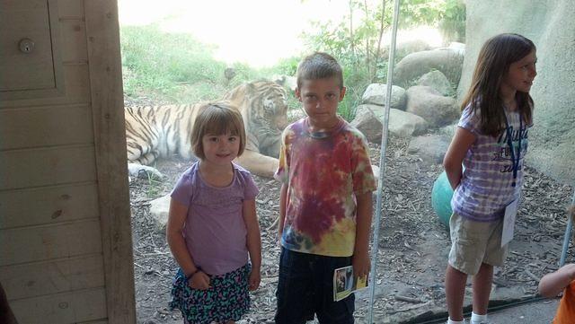 IMG 20130721 100356 623