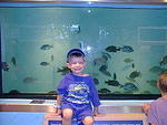 Timothy only wishes he had this fish tank at home!