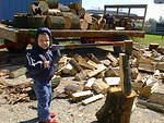 Timothy spent the day cutting firewood at Memaw & Poppy's house.