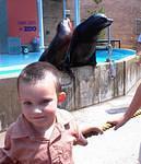 This is as close as they would let me get to the Sea Lions :)