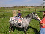 Timothy riding Abby without a saddle.