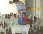 Elijah was helping Mamaw give the goats their meds.