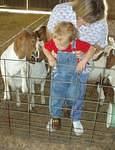 Mr. Goat to the left was teaching Elijah how to climb the fence.
