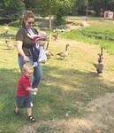 RUN!!!!! They are going to get us!